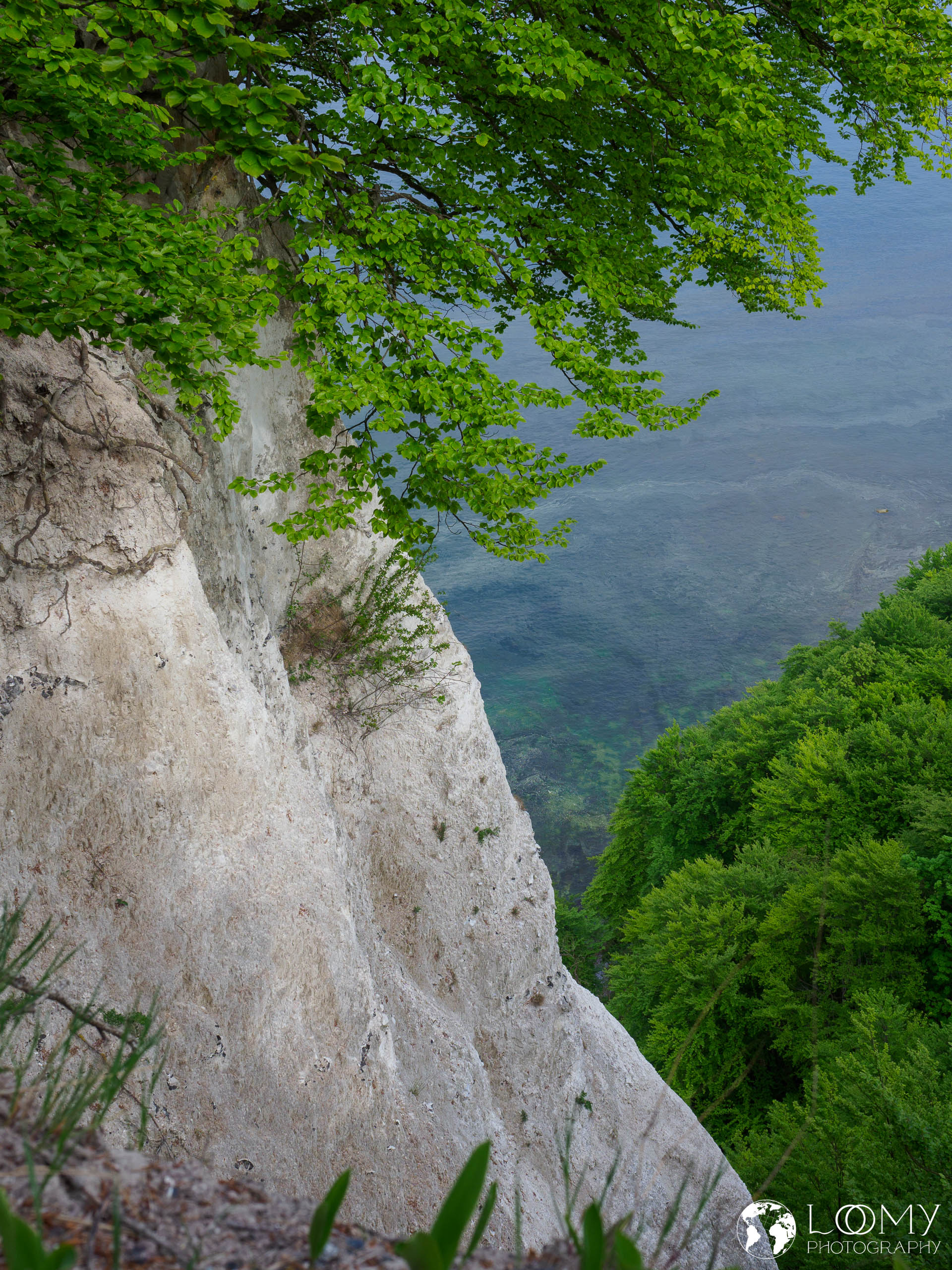 Kreidefelsen