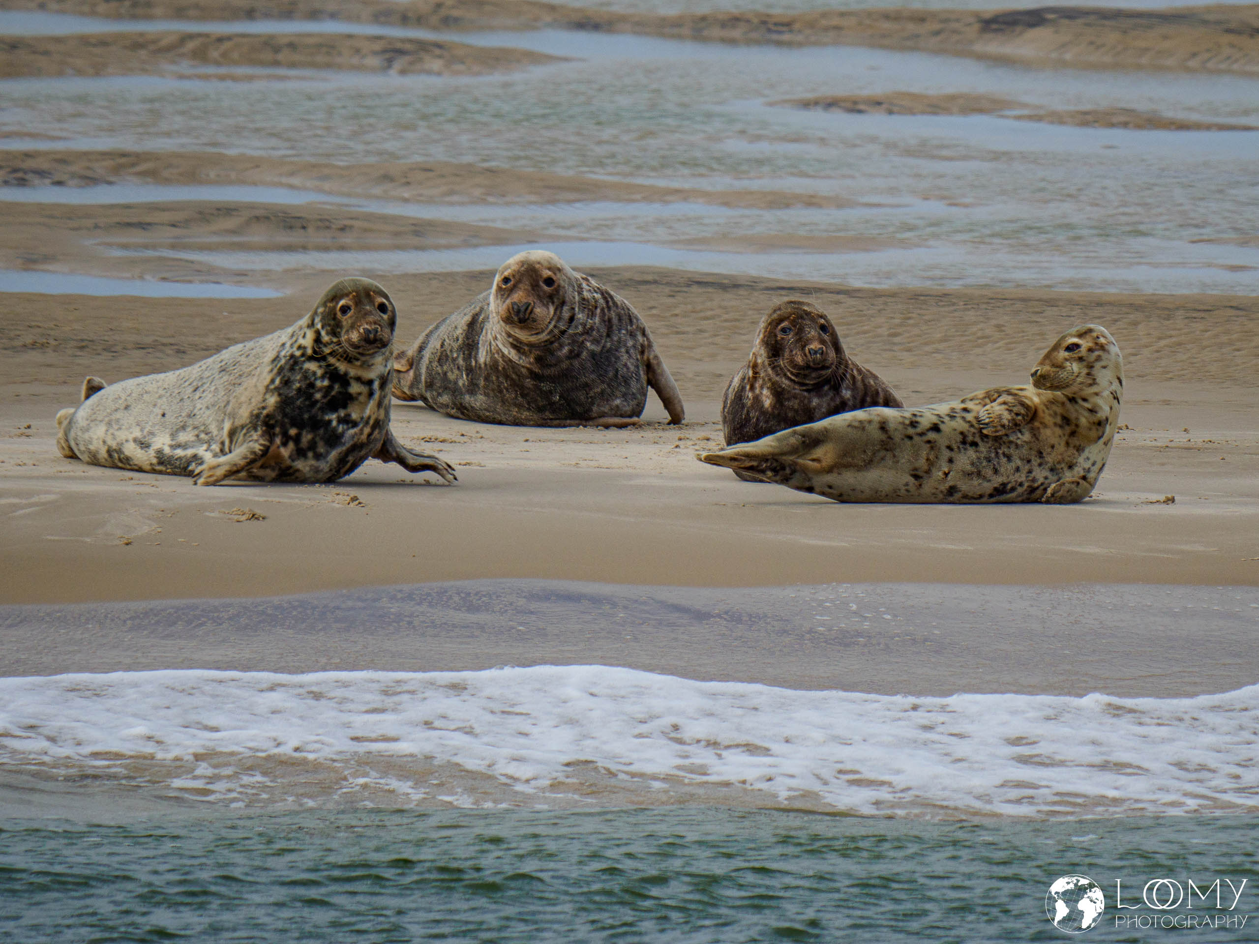 Der Süden der Insel
