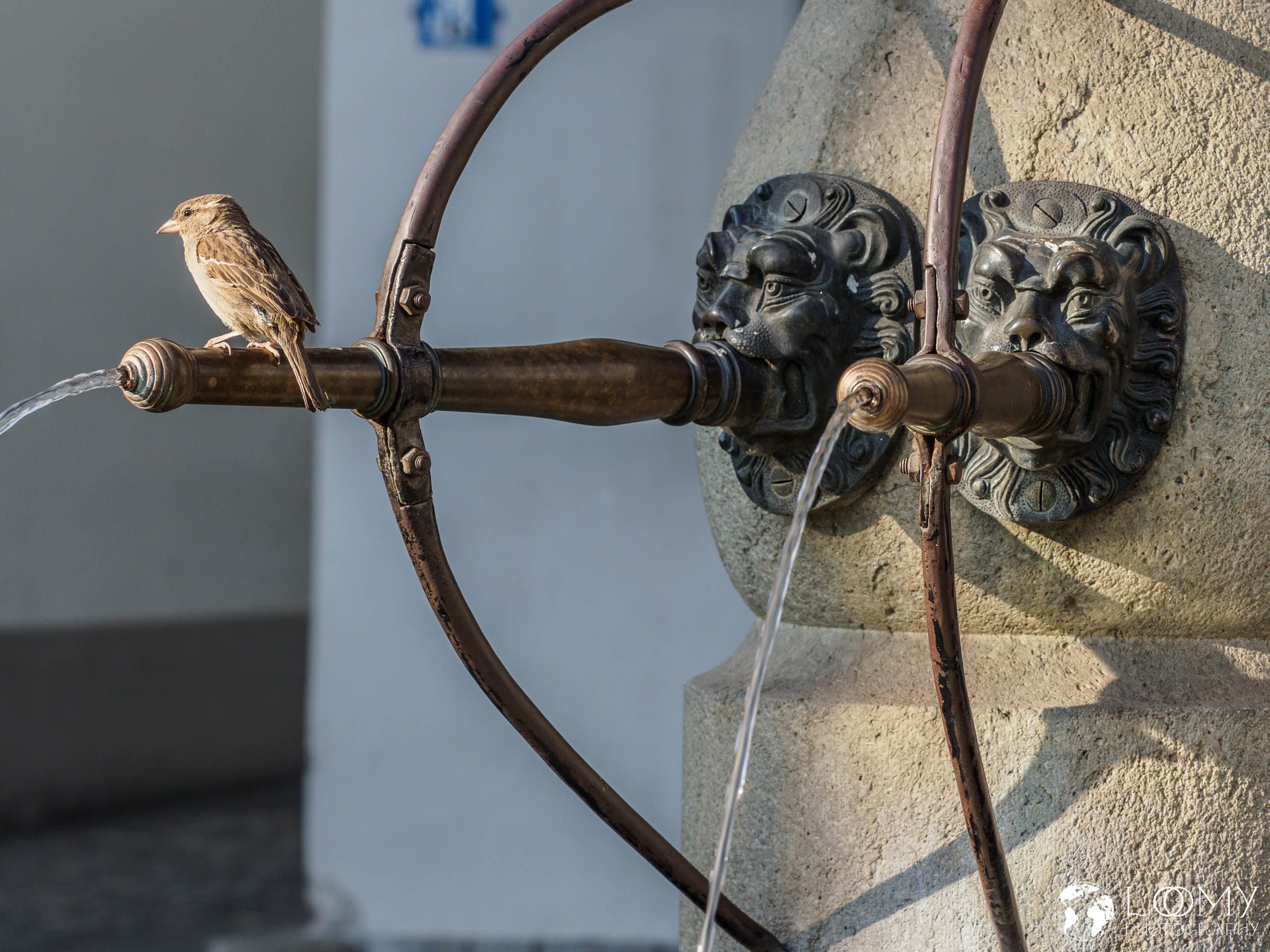 Hechtplatzbrunnen