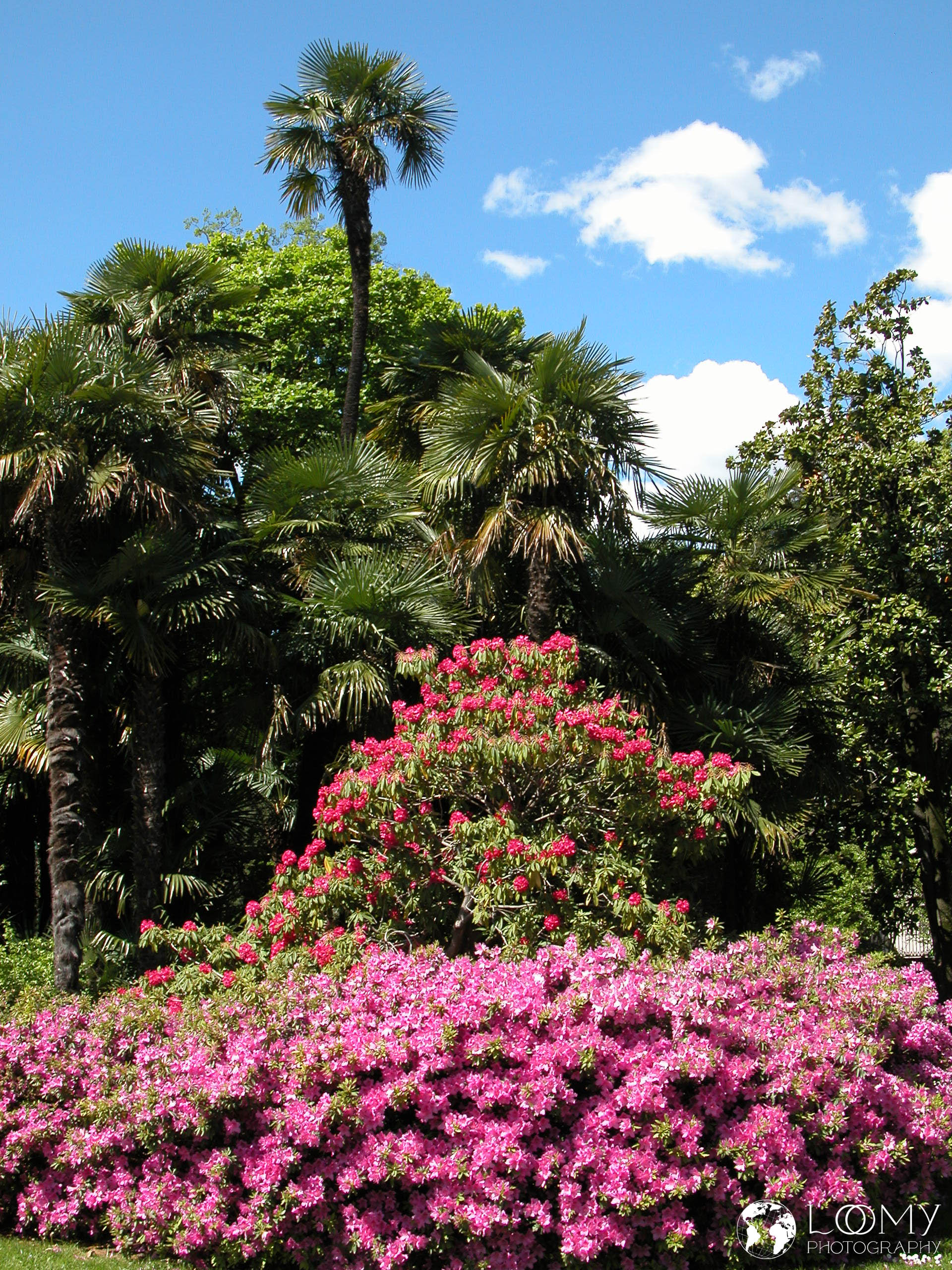 Park Ciani