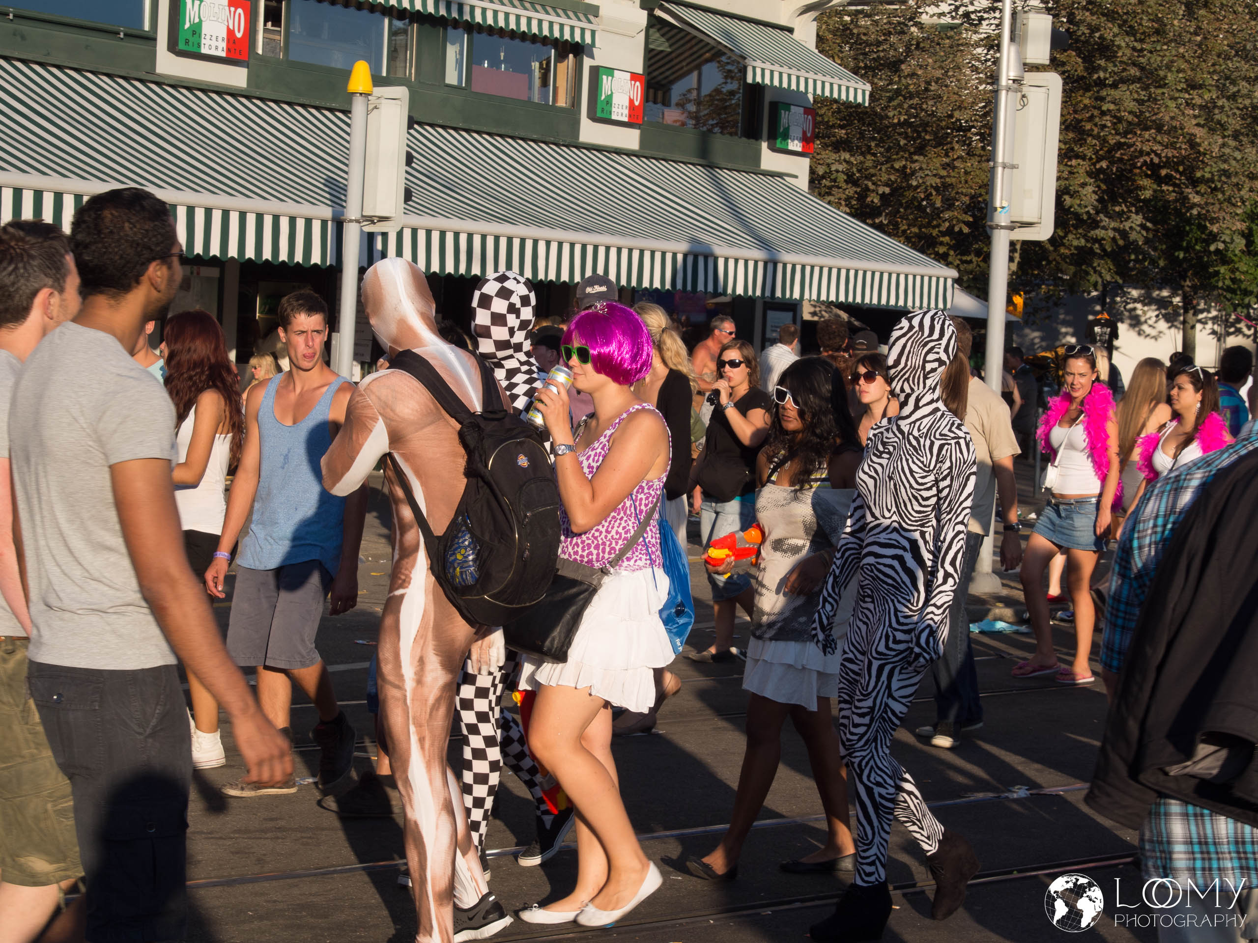 Schachbrett und Zebra