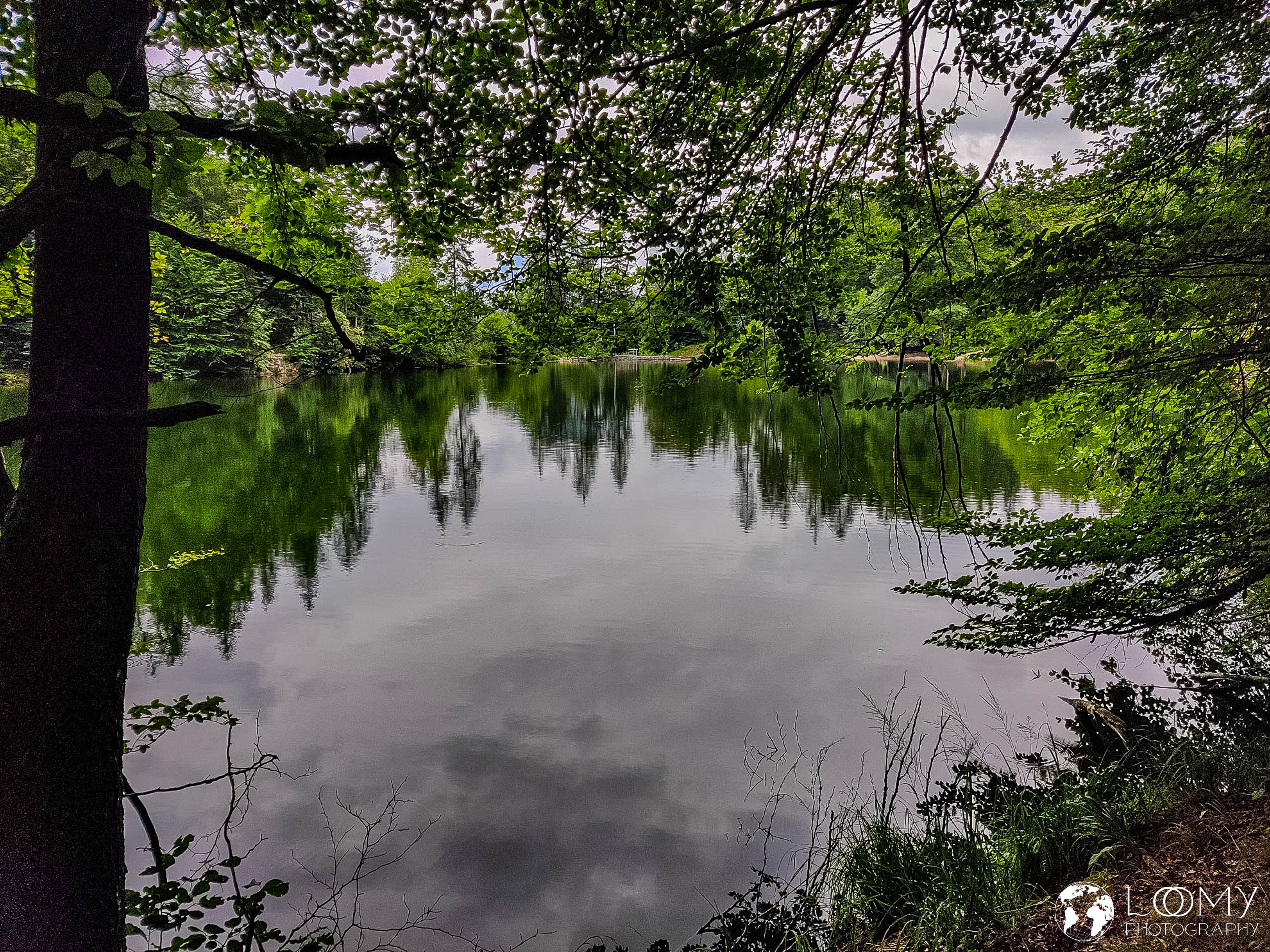 Pfrillsee