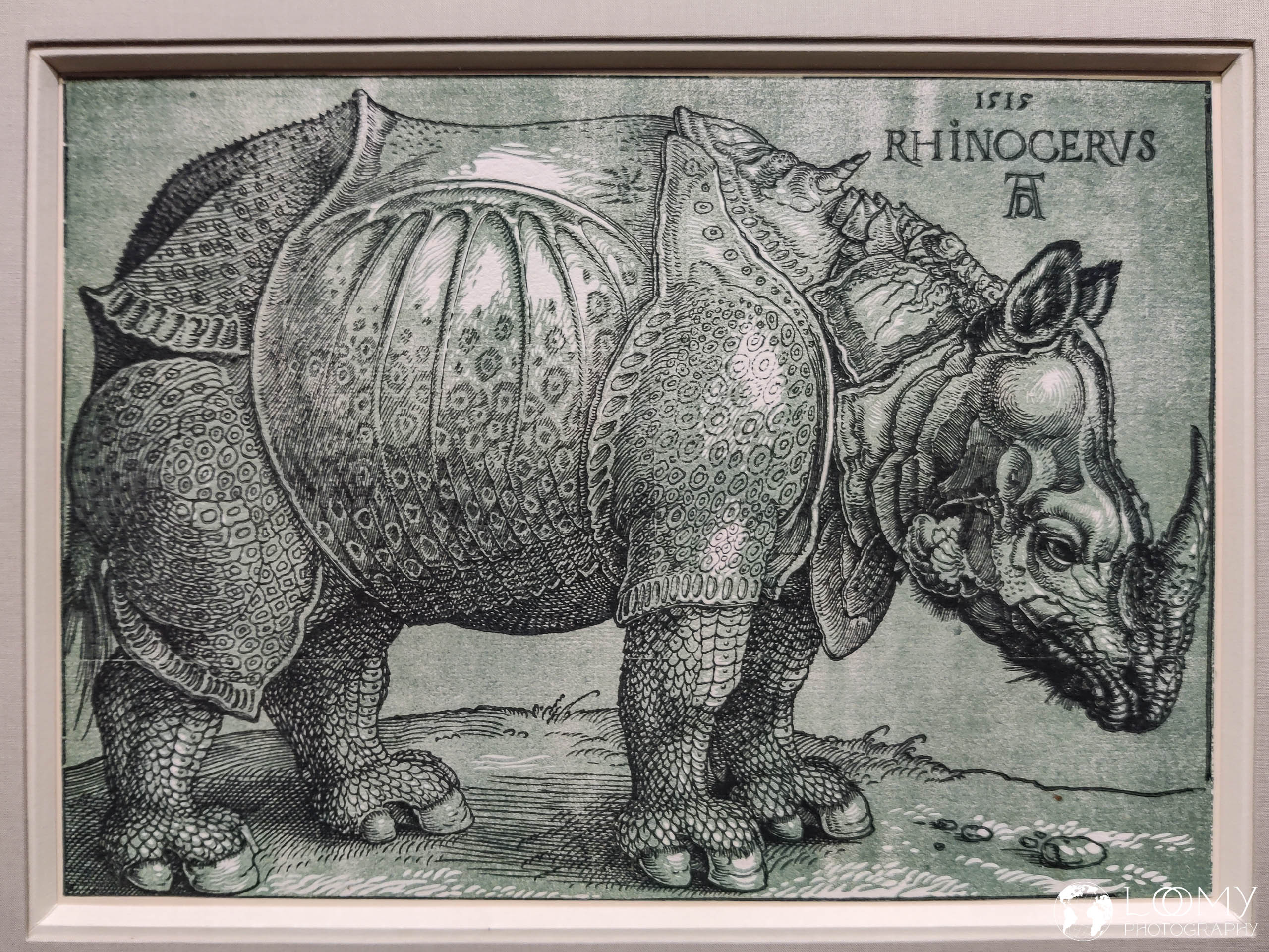 Das Rhinozeros. 1515
