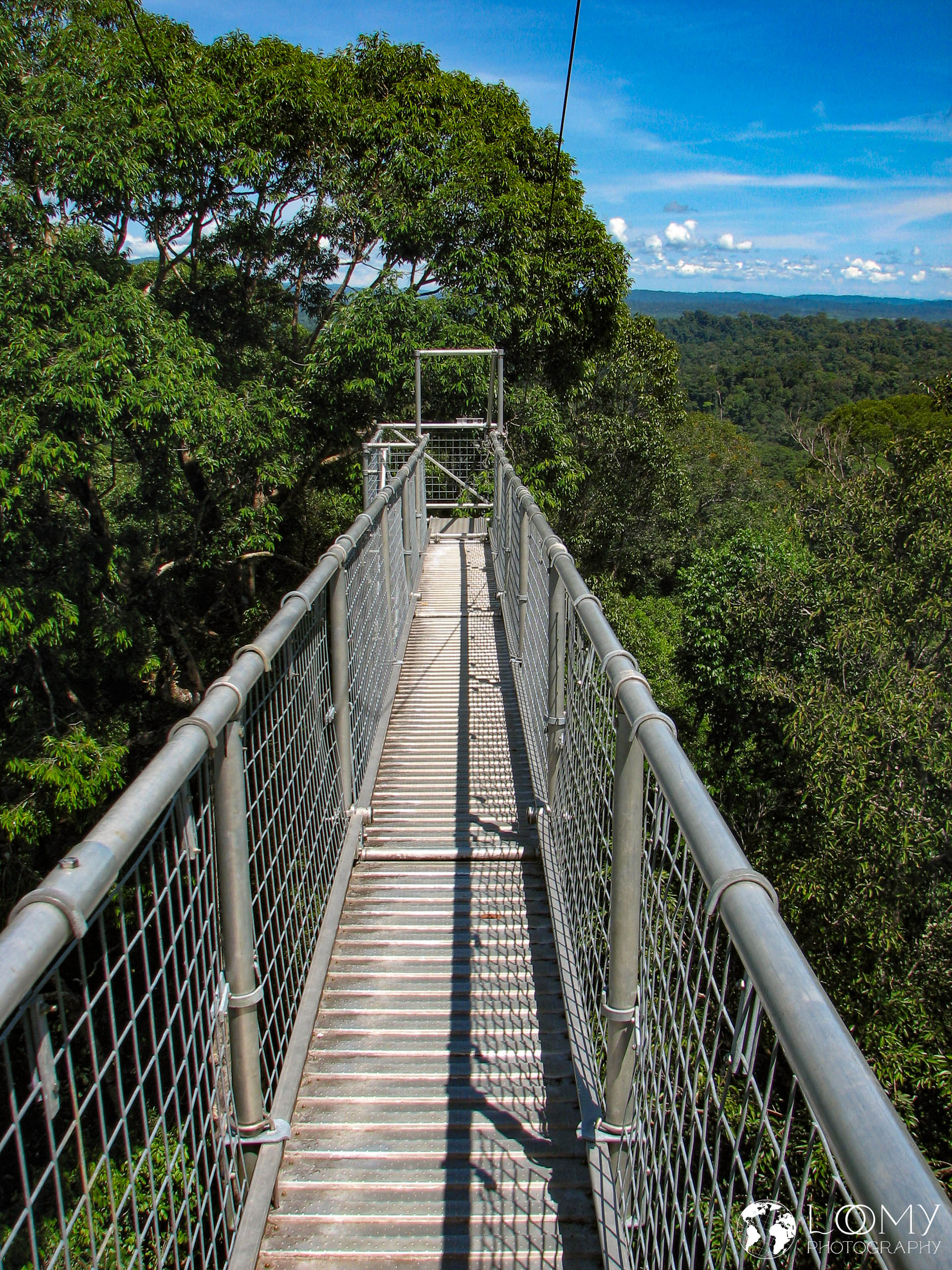 Canopy Walk