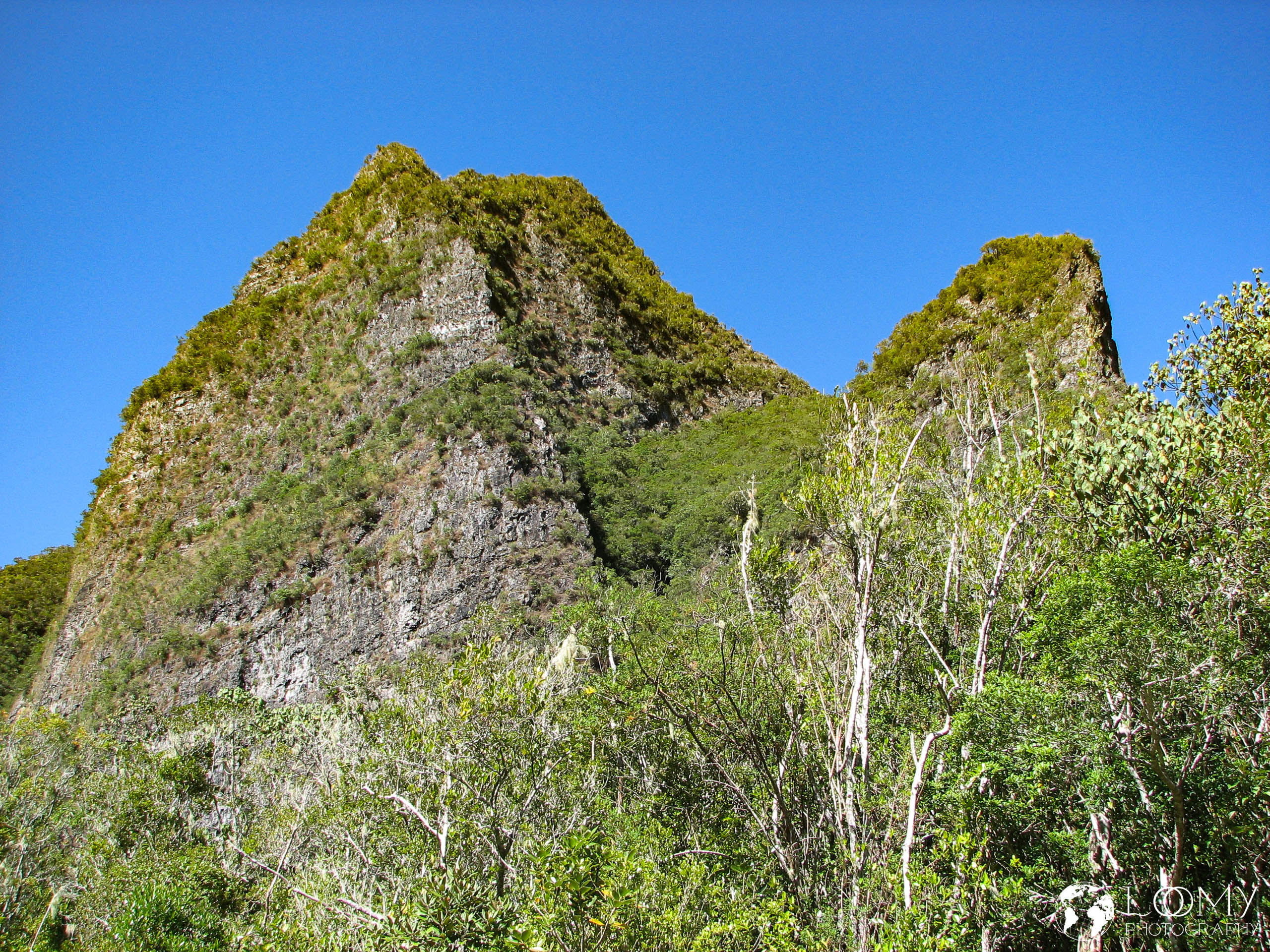Bonnet de Prêtre (1710m)