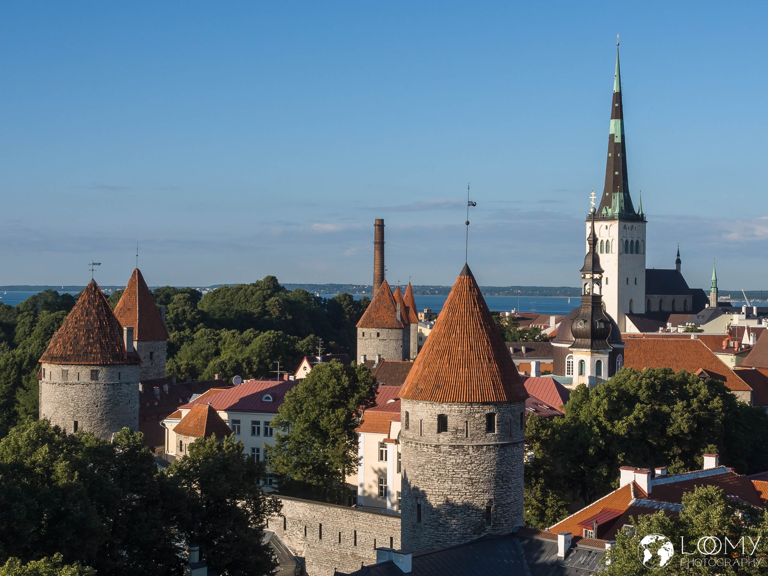 Blick auf die Altstadt Tallinns