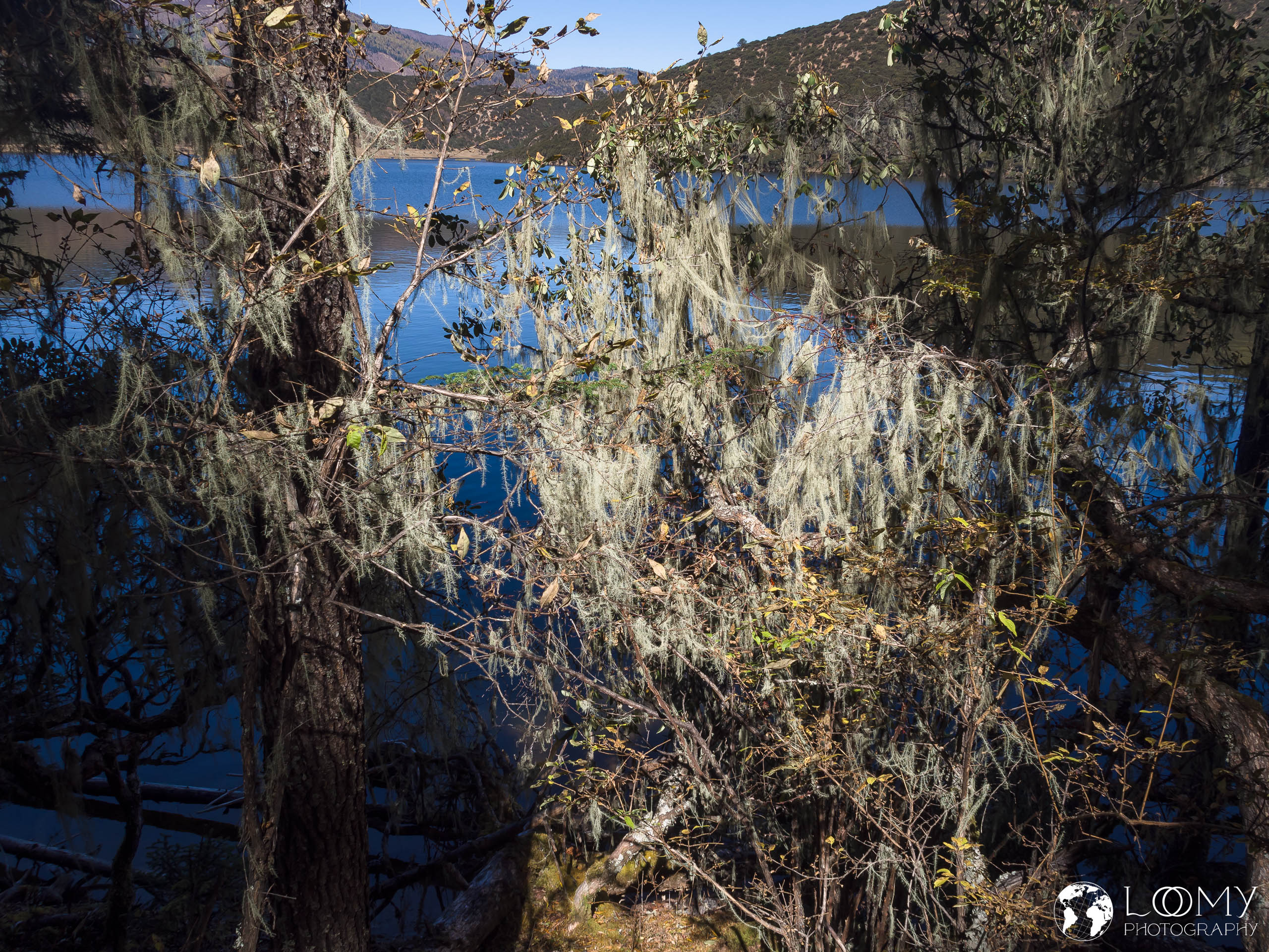 Shudu Lake