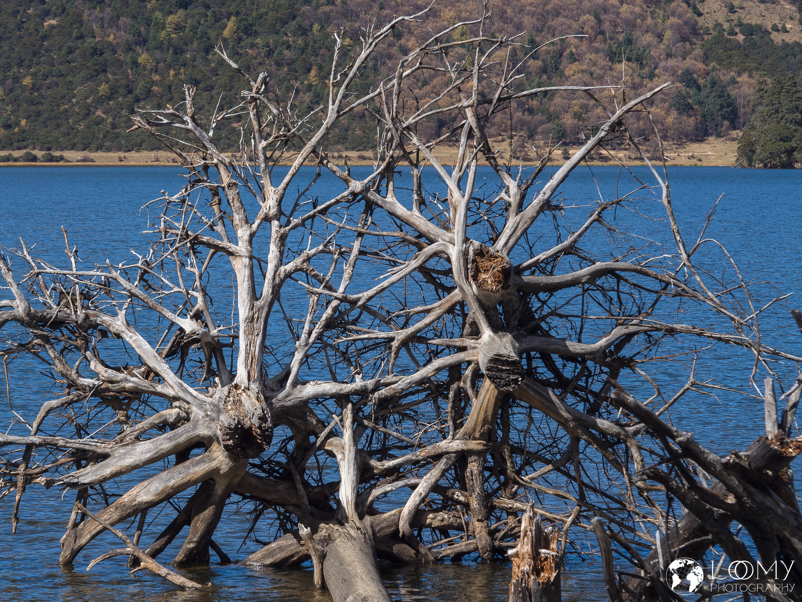 Shudu Lake
