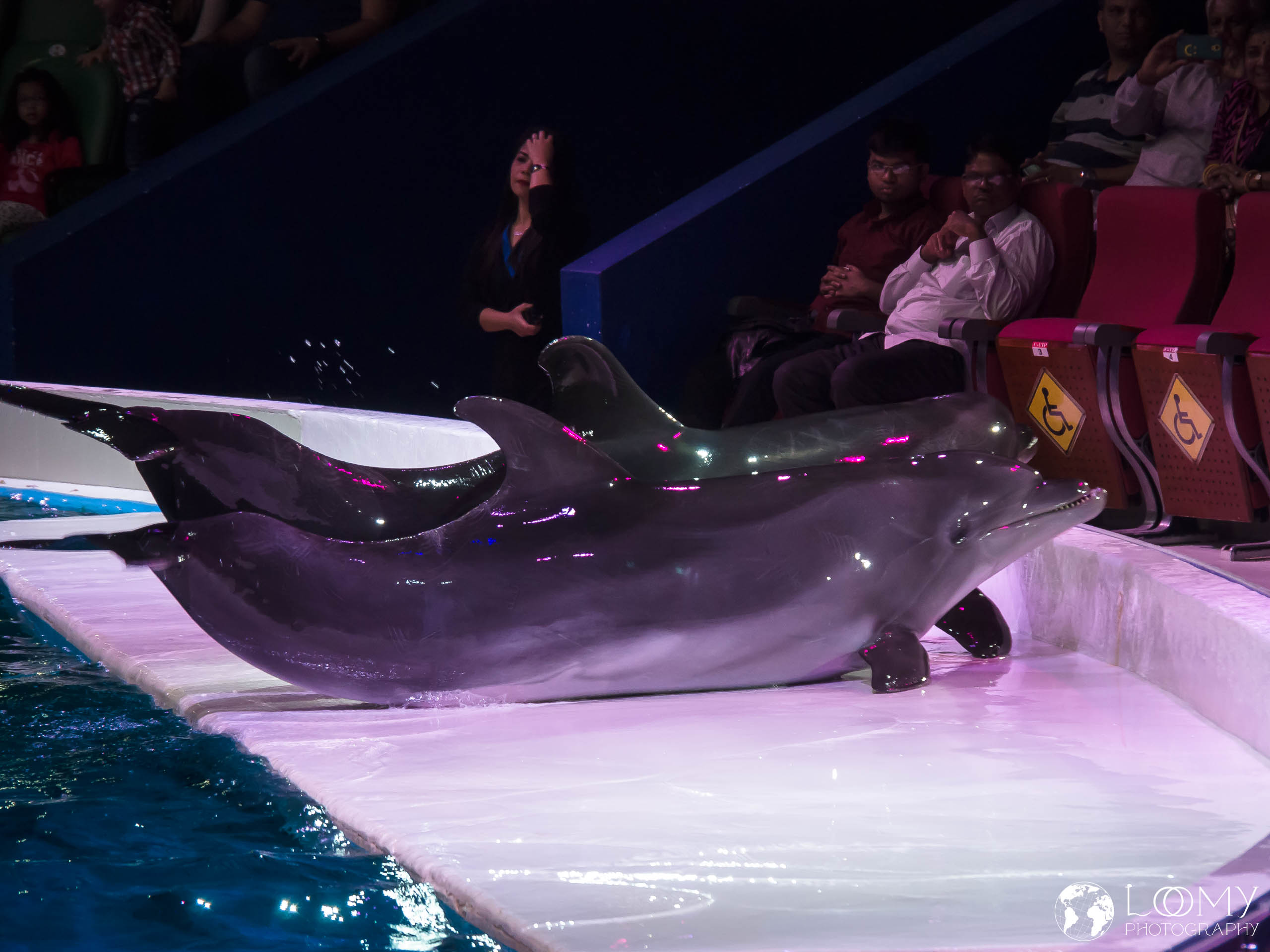 Dolphinarium