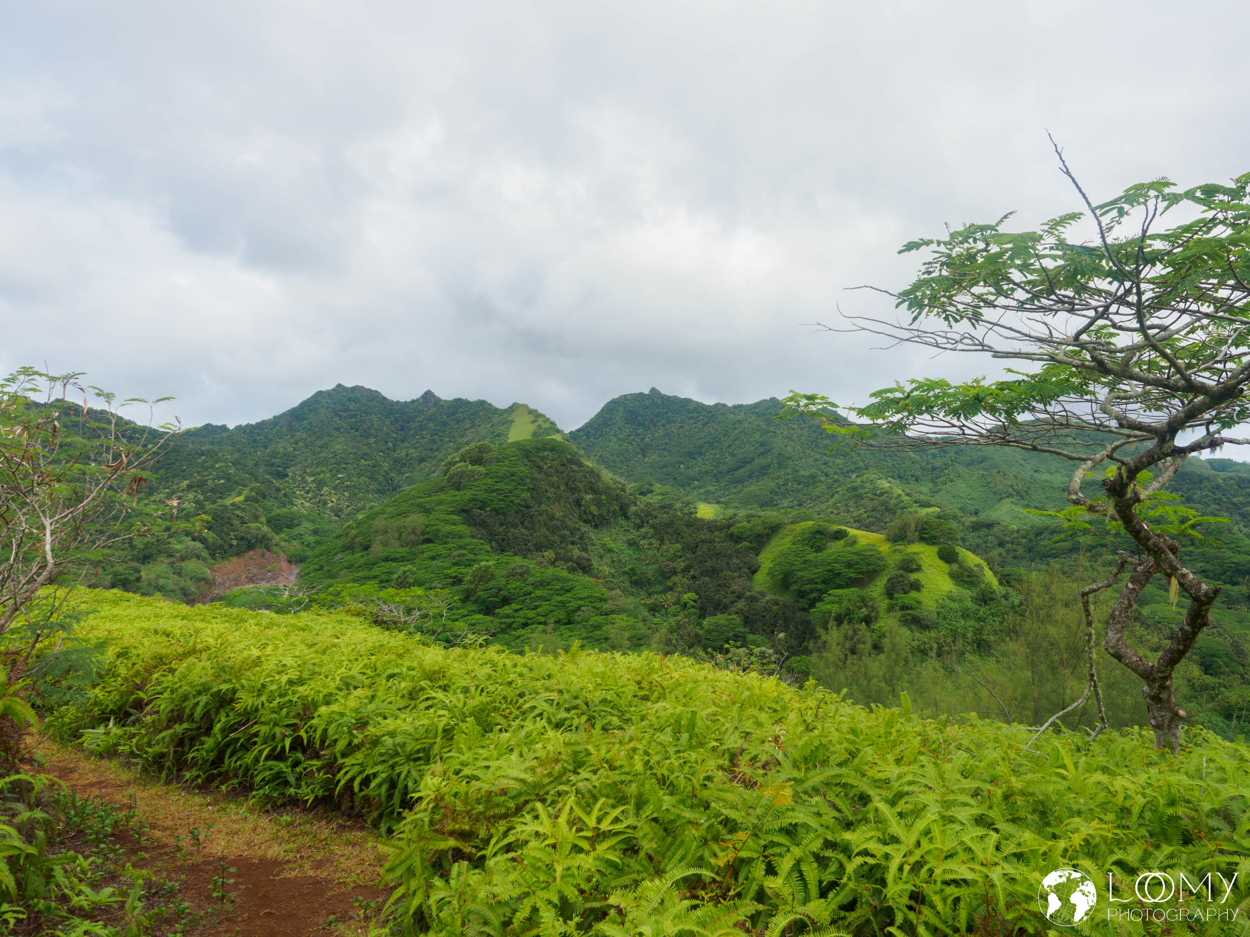 Blick ins Landesinnere