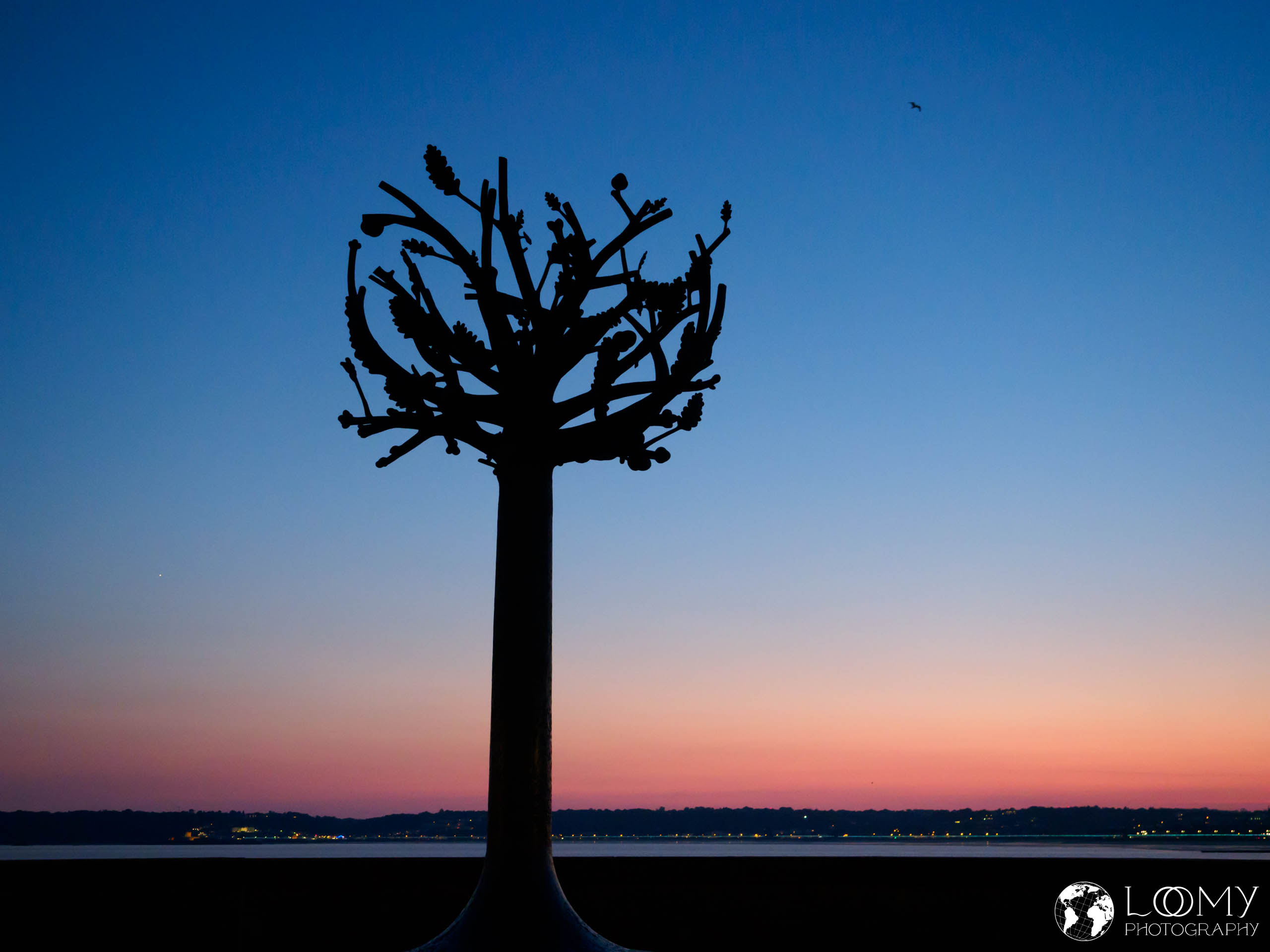 Freedom Tree