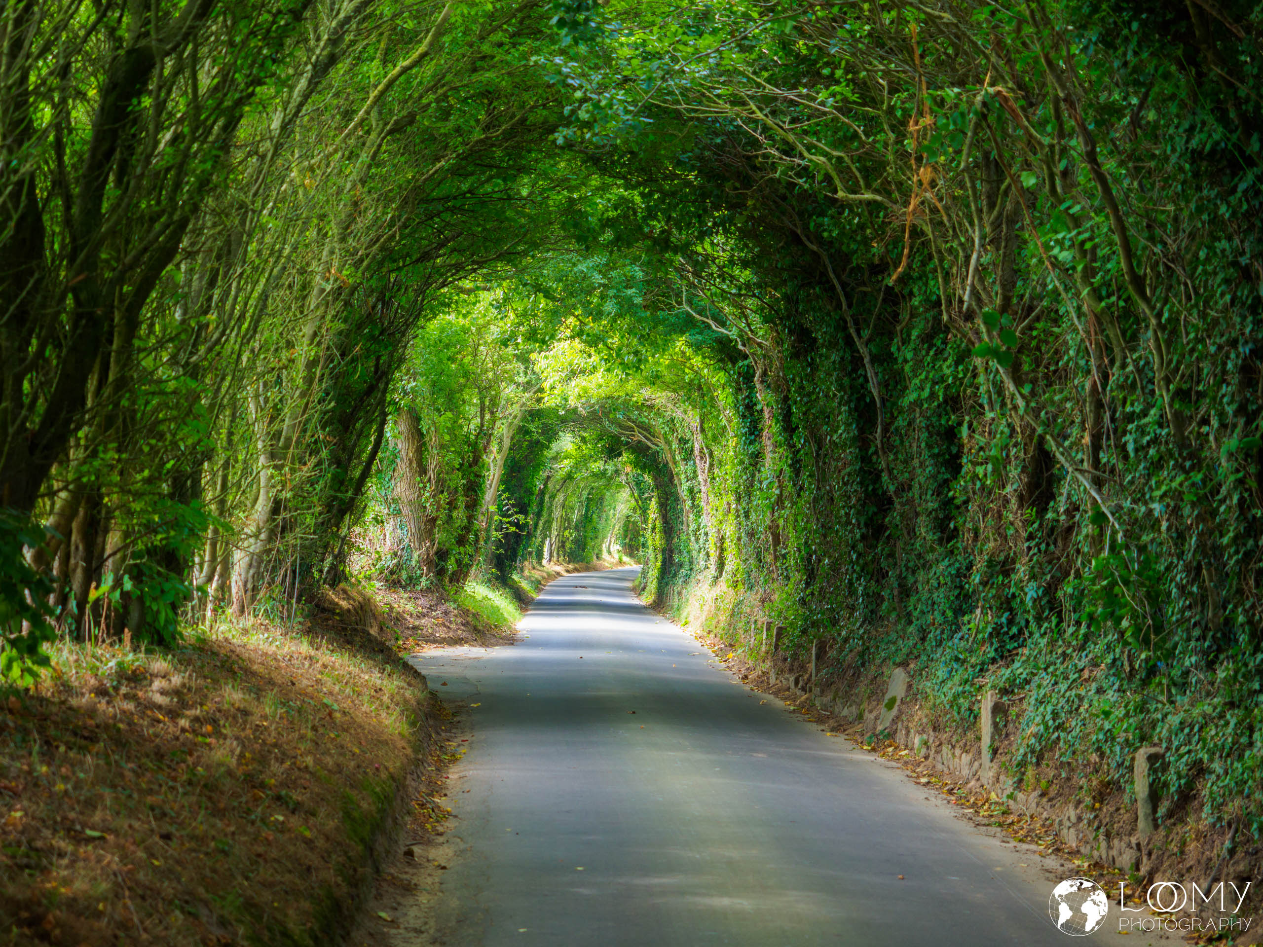 Green Lane