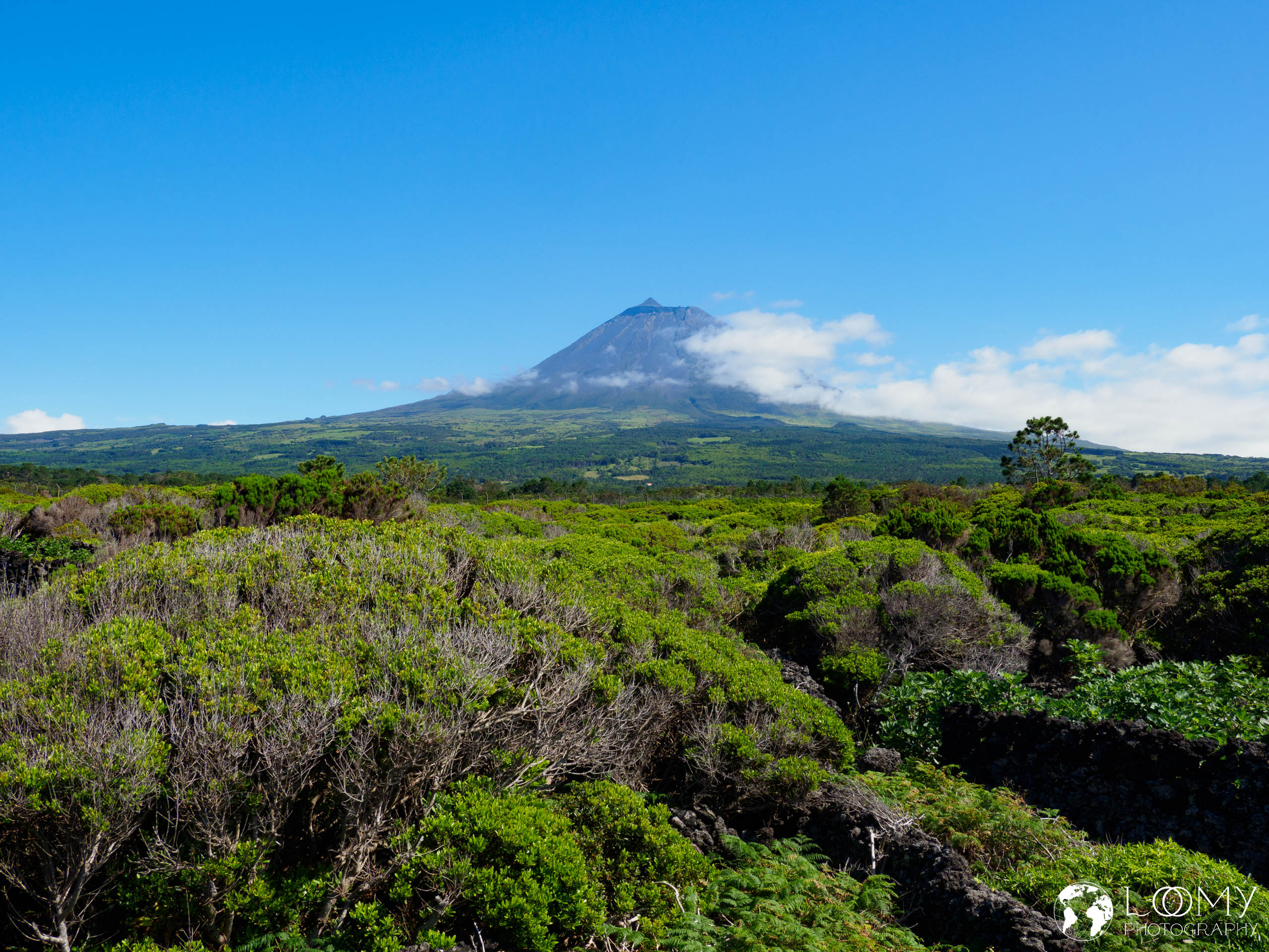 Ponta do Pico (2351m)