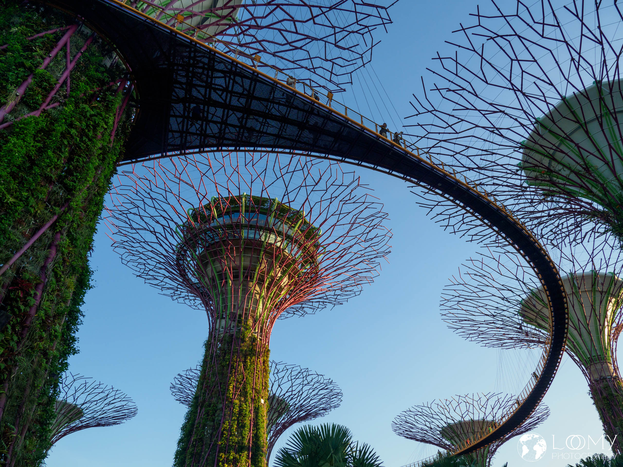 Gardens by the Bay