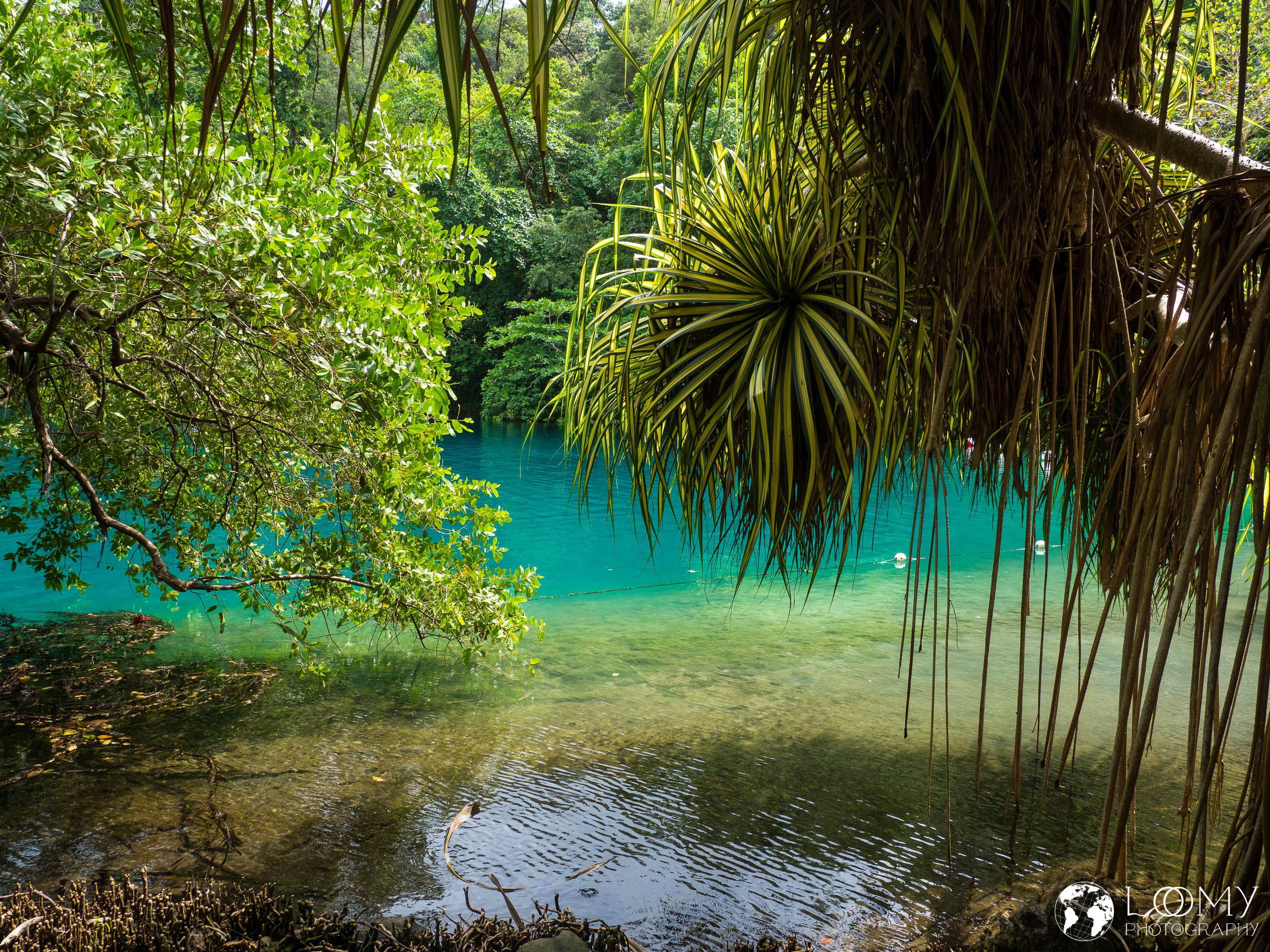 Port Antonio