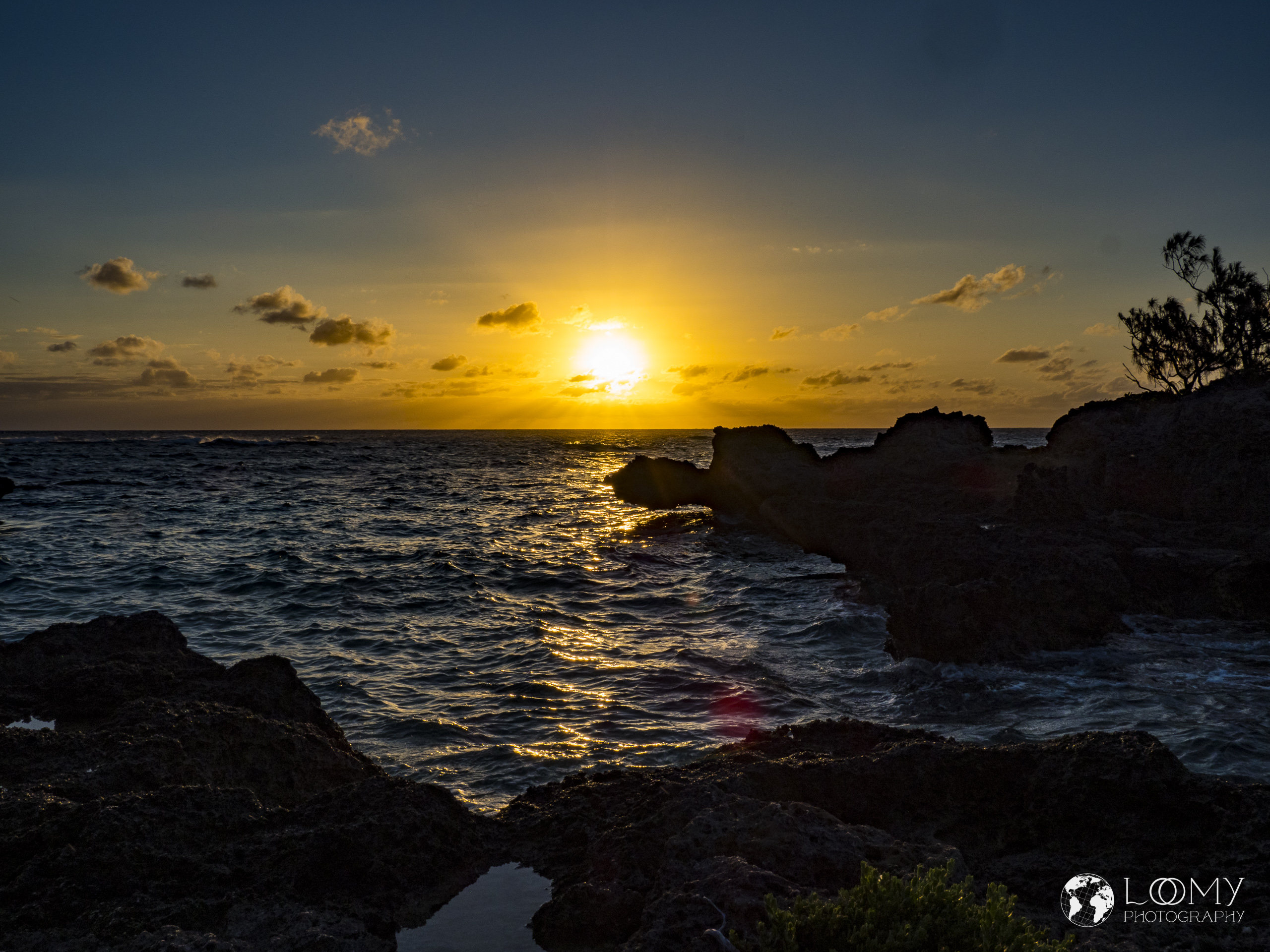 P9278954 -  